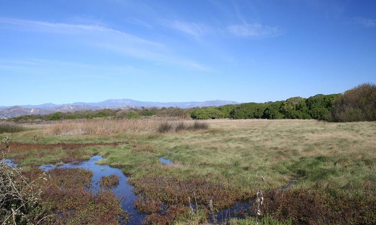 Santa Clara River McGrath State Beach