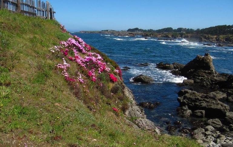 Fort Bragg California North Coast