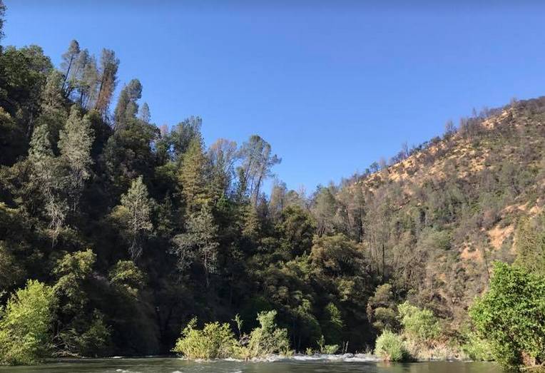 Mokelumne River Roaring Camp Mining Company