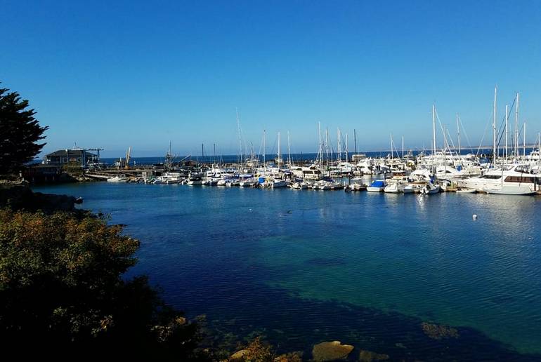 Monterey Bay Harbor