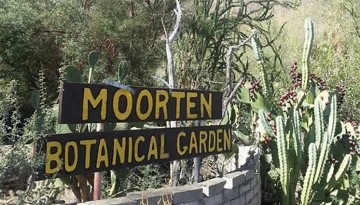 Moorten Botanical Gardens Palm Springs Day Trip