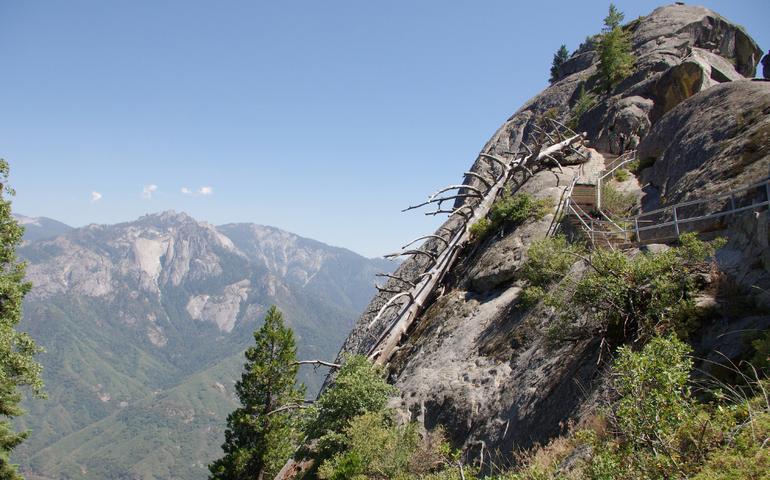 Sequoia-Kings Canyon Parks