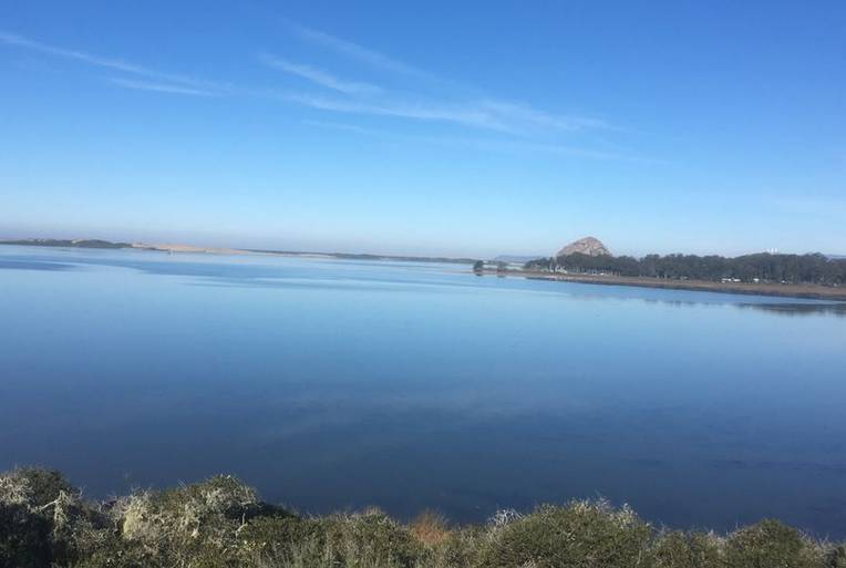 Morro Bay Estuary