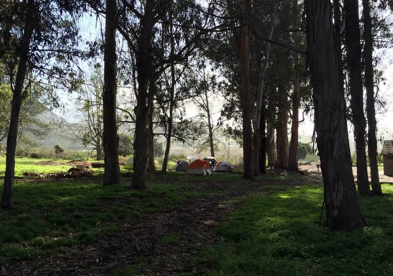 Morro Bay State Park Campground