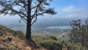 Morro Bay State Park California Central Coast