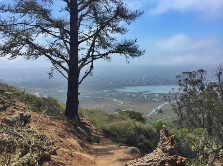 Morro Bay State Park California Central Coast