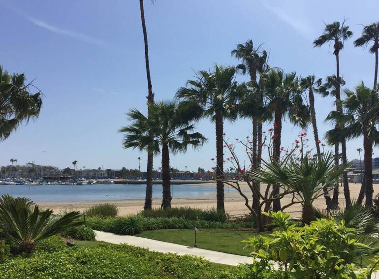 Mother’s Beach Marina Del Rey California