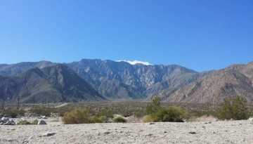 Mount San Jacinto State Park Day Trip