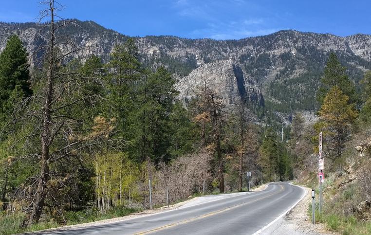 Mount Charleston Scenic Byway