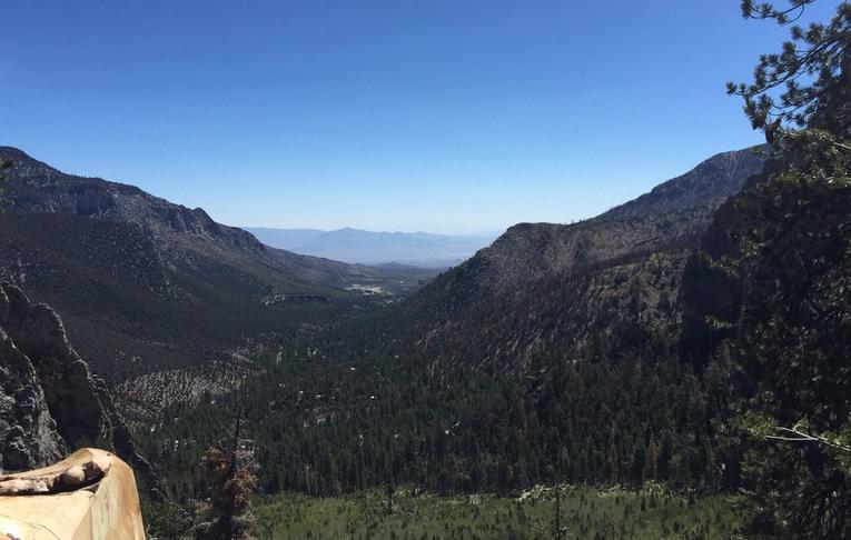 Hiking Mount Charleston