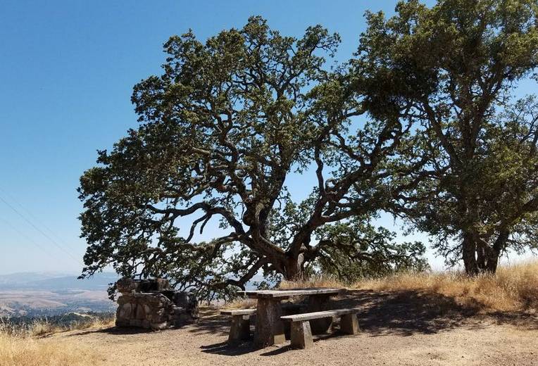 Mount Diablo State Park Camping