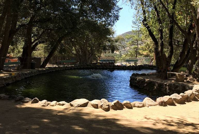 Mt Baldy Trout Pool