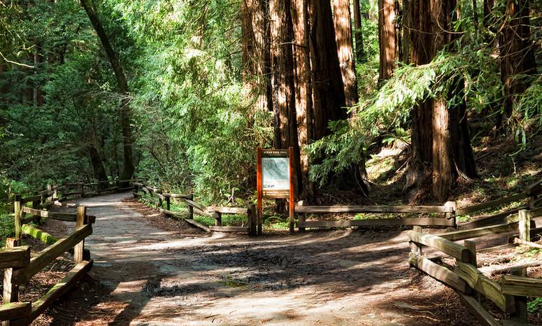 Muir Woods National Monument