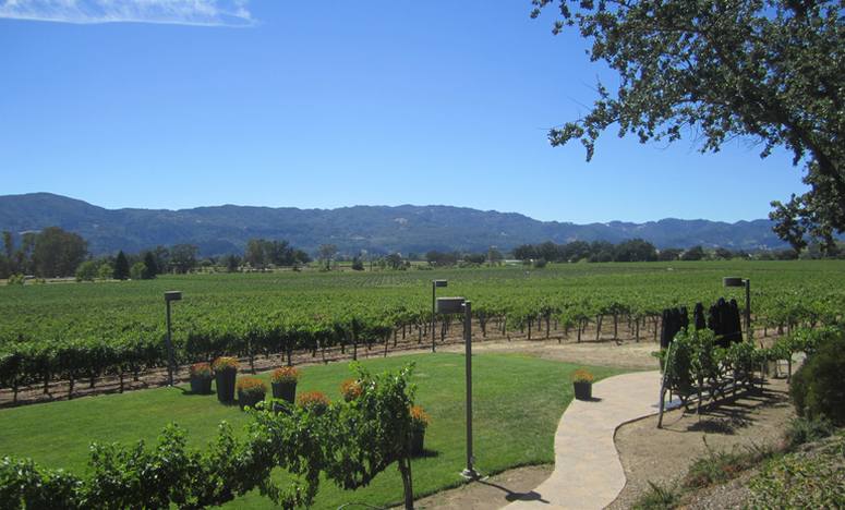 Napa Valley Day Trip