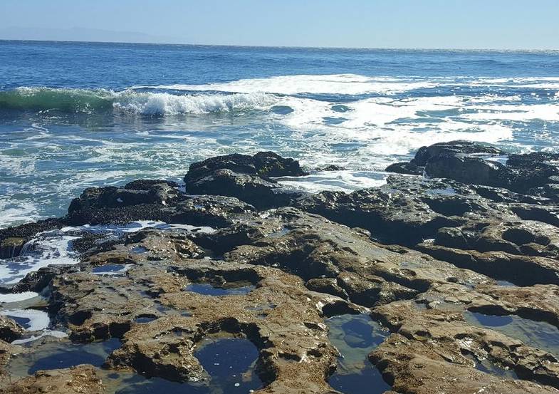 Natural Bridges State Beach Tide Pools