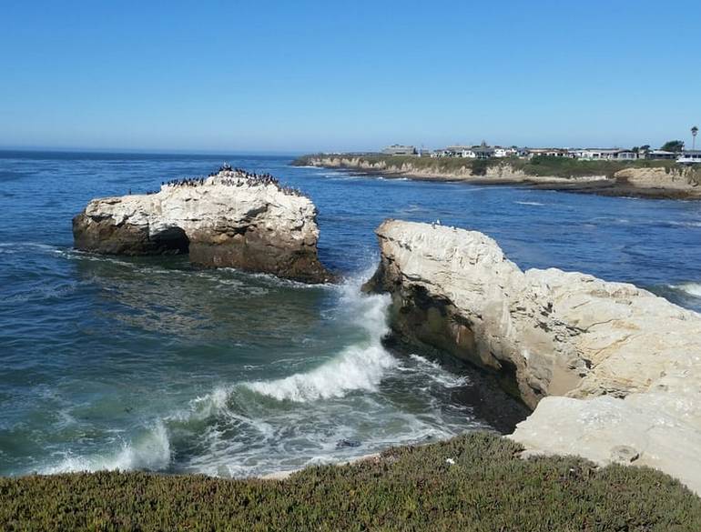 Natural Bridges State Beach Santa Cruz California