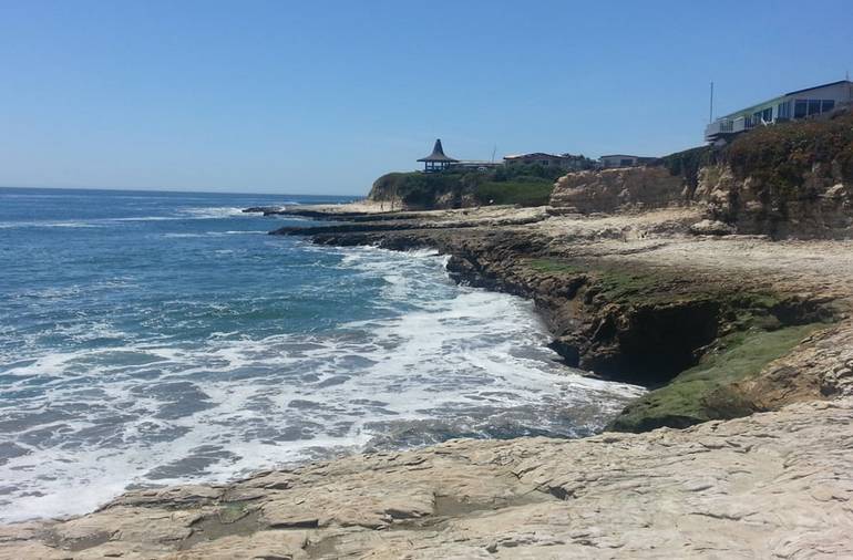 Natural Bridges State Beach