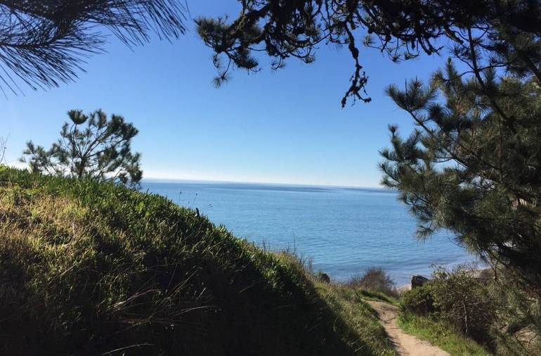 New Brighton State beach Bluff Trail