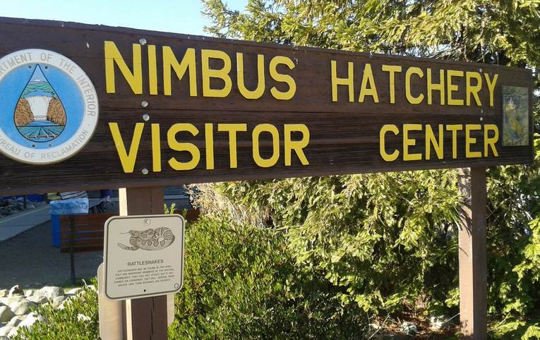 Nimbus Fish Hatchery