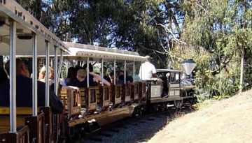 Oakland Zoo Kids Birthday Parties