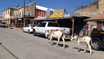 Oatman Ghost Town Day Trip