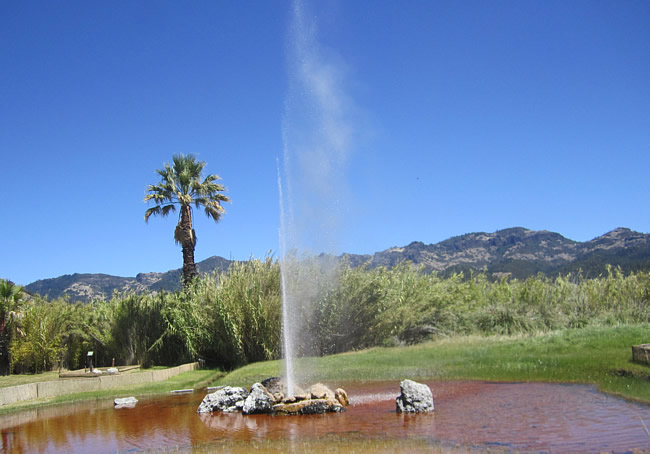 Old Faithful Geyser Calistoga Napa Valley