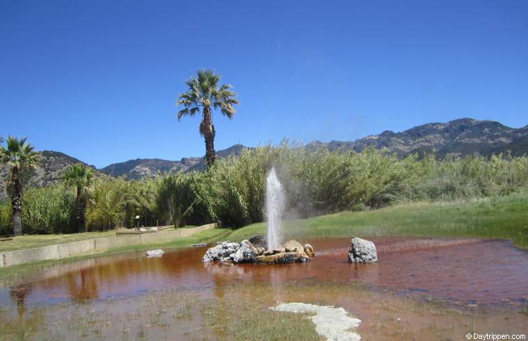 Old Faithful Geyser Calistoga