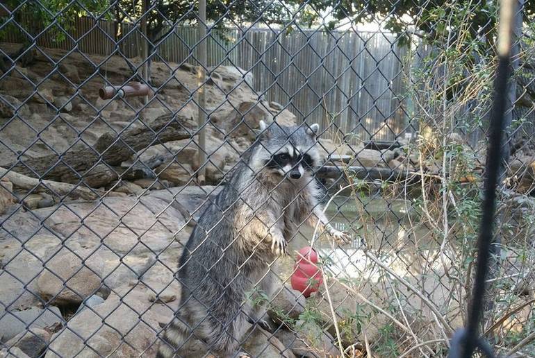 Orange County Zoo Irvine Park