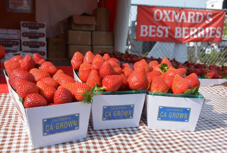 Oxnard Strawberry Festival