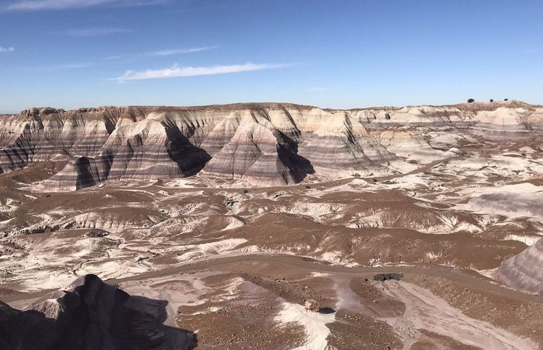 Petrified Forest National Park