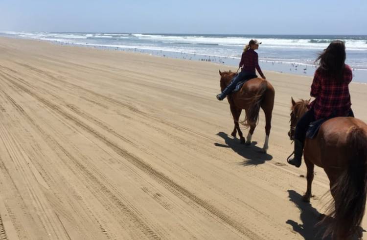 Pismo Beach Horseback Riding