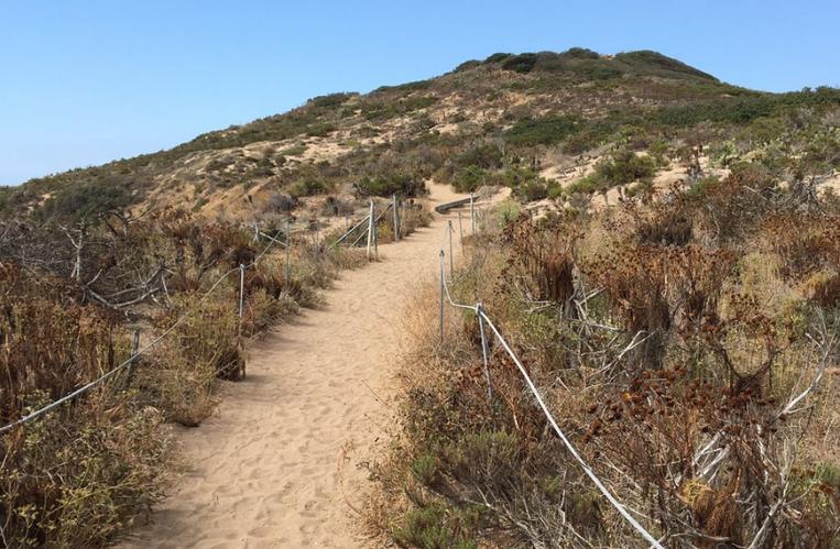 Point Dume Nature Preserve