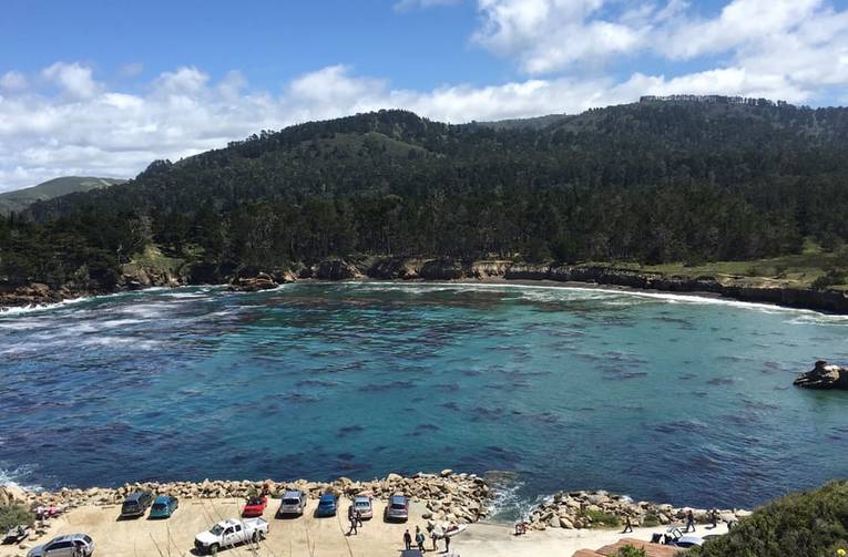 Point Lobos State Reserve