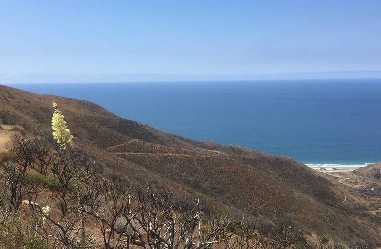 Point Mugu State Park