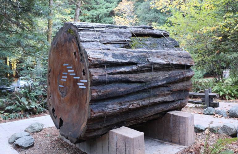 Humboldt Redwoods Visitor Center