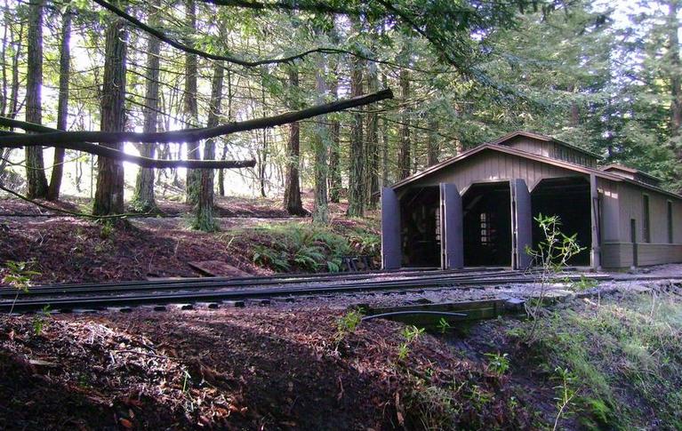 Redwood Valley Steam Train