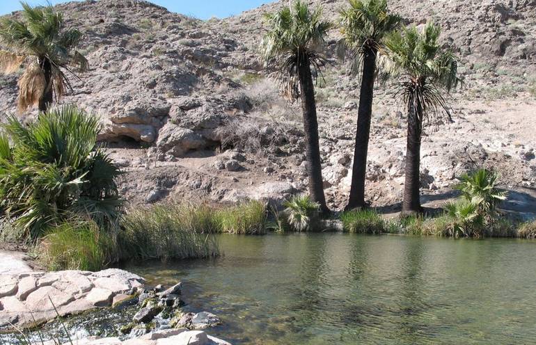 Rogers Spring Lake Mead Nevada