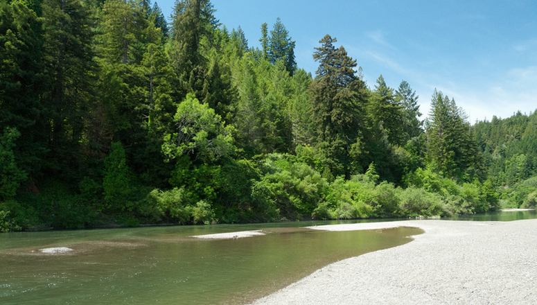 Day Trip to Guerneville