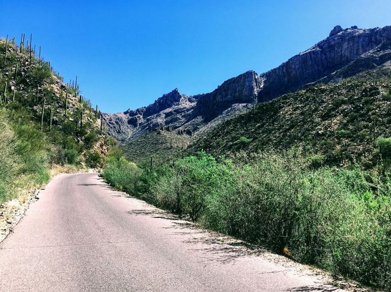 Upper Sabino Canyon