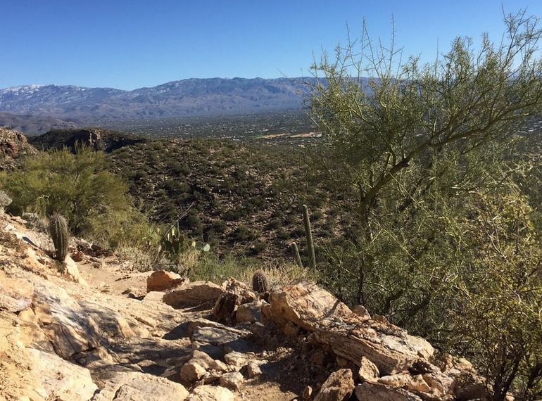 Sabino Canyon Recreation Area Tucson Arizona