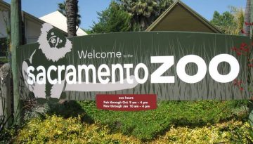 Sacramento Zoo Day Trip