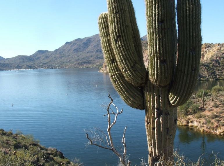 Saguaro Lake Tonto National Forest