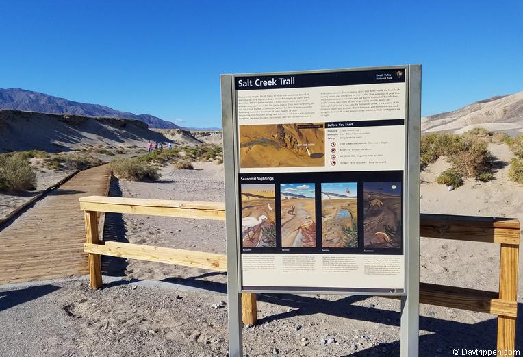 Salt Creek Boardwalk Death Valley