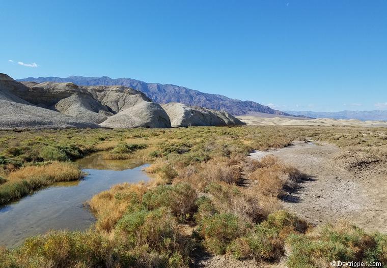 Salt Creek Boardwalk Death Valley