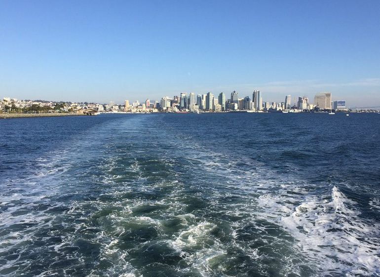 San Diego bay Cruise