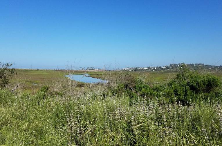 San Elijo State Reserve 