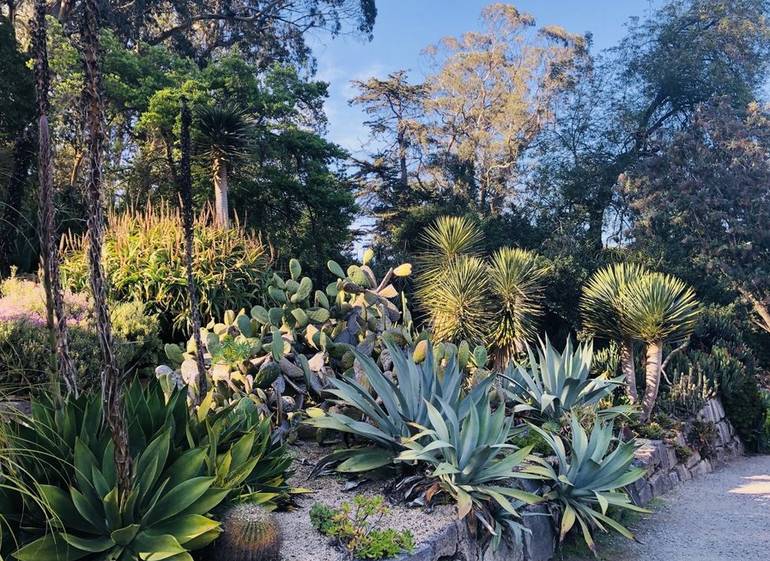 San Francisco Botanical Garden