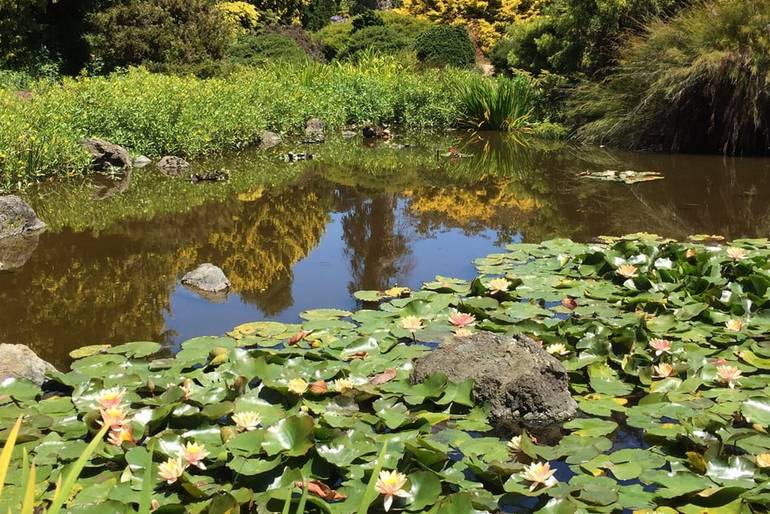 San Francisco Botanical Garden