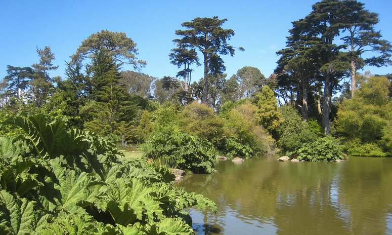 San Francisco Botanical Garden