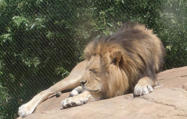 Santa Barbara Zoo